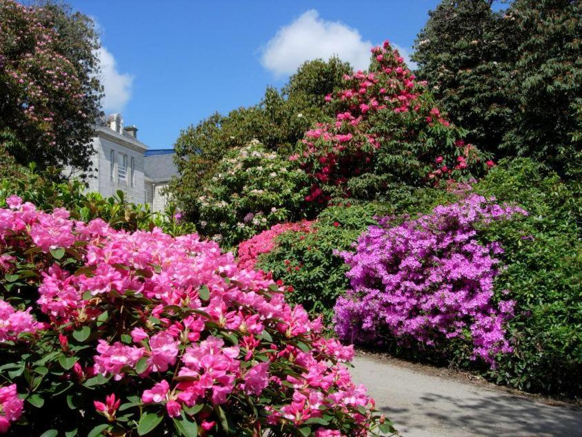 Glasney Rooms, University Campus Penryn Falmouth Ngoại thất bức ảnh